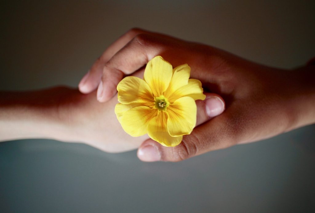 respect mains fleur jaunes amour