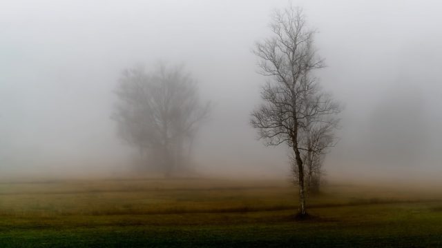 Soigner les blessures de l&rsquo;âme – Module 2
